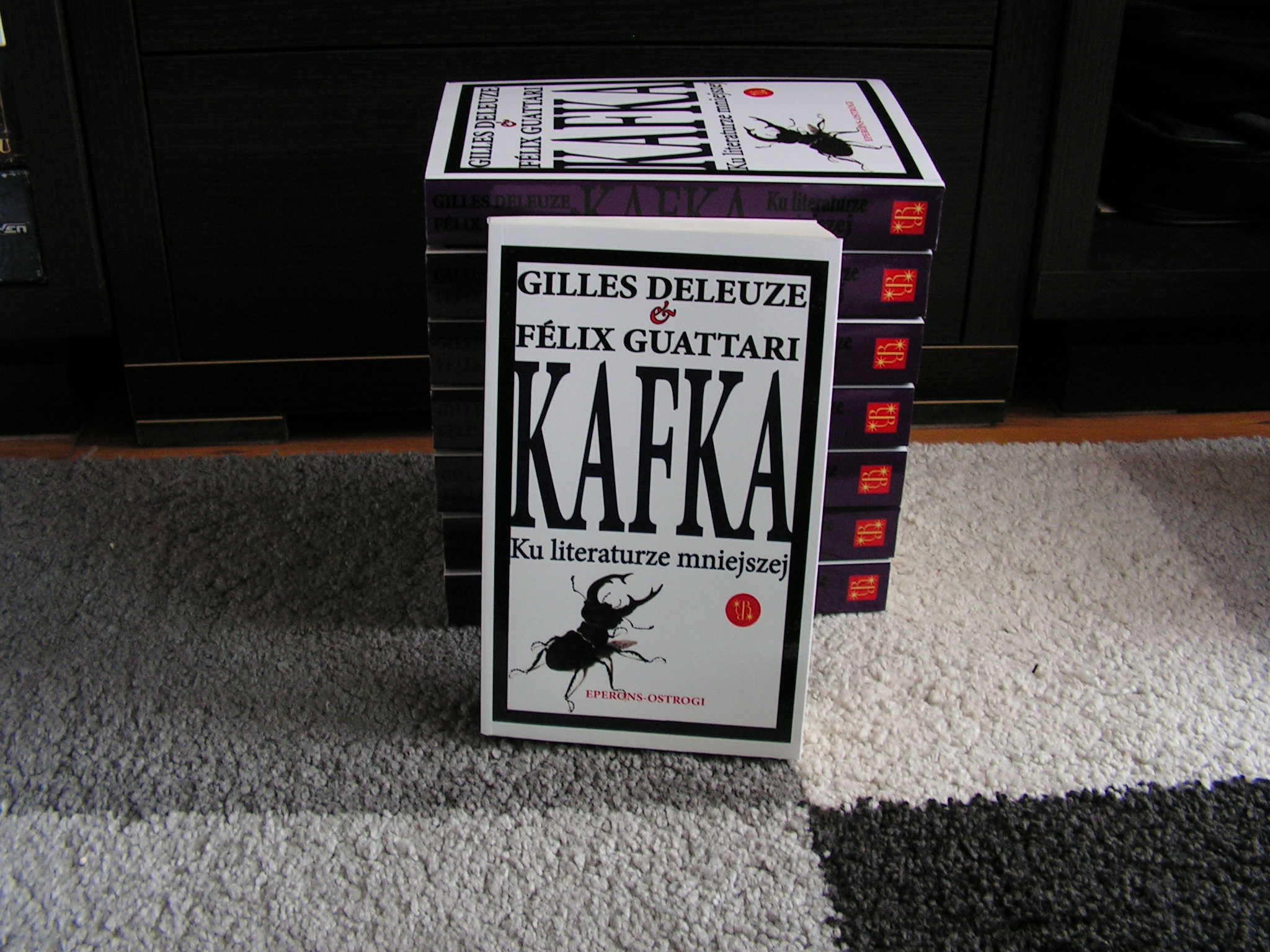 Kafka (2): Operacja-na-interpretacji, czyli jak przyswoić Kafkę