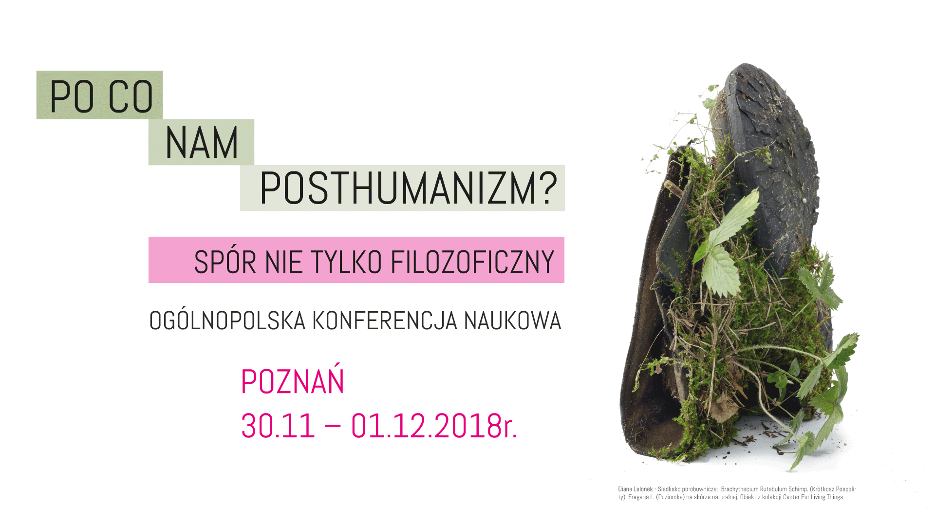 Po co nam posthumanizm? (Poznań, 30.11 – 1.12)